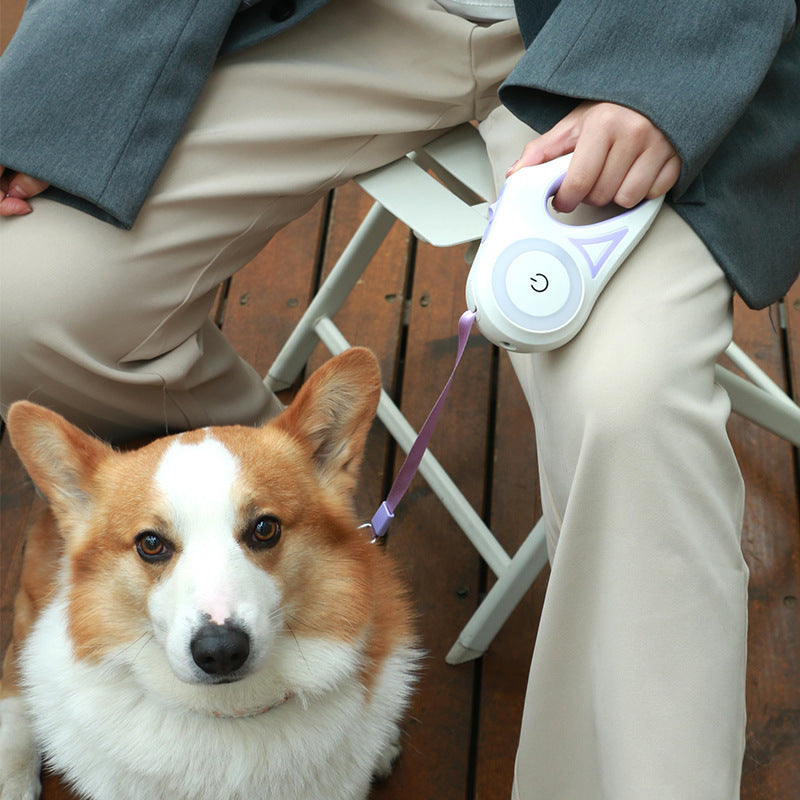 Retractable Dog Leash with Collar & LED Spotlight – Automatic Pet Leash for Small and Medium Dogs